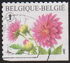 Belgium: Dahlia Self-adhesive Right + Bottom Imperforate, 2007