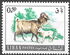 Lebanon: Domestic Goat (Capra hircus), 1968