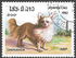Laos: Chihuahua (Canis lupus familiaris), 1982