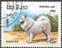 Laos: Samoyed (Canis lupus familiaris), 1982