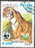 Laos: Tiger (Panthera tigris), 1984