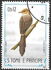 São Tomé and Príncipe: Sao Tome Prinia (Prinia molleri), 1983