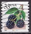 アメリカ合衆国: Fruit Berries: Blackberries, 1999