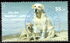 德国: Labrador Retriever (Canis lupus familiaris), 2007