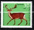 Berlin: Common Fallow Deer (Dama dama), 1966
