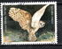 以色列: Common Barn Owl (Tyto alba), 1987