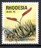 Rhodesia: Aloe ortholopha, 1975