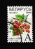 Belarus: Red Currants (Ribes rubrum), 2004