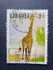 Liberia: Giraffe (Giraffa camelopardalis), 1966
