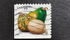United States of America: Squashes (PSA coil), 2006