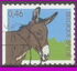 Belgium: Donkey (Equus asinus asinus), 2006