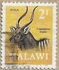 Malawi: Nyala (Tragelaphus angasi), 1971