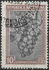 Argentina: Grapes, 1936