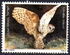 以色列: Common Barn Owl (Tyto alba), 1987