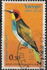 以色列: European Bee-eater (Merops apiaster), 1963