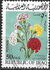 Iraq: Carnations (Dianthus caryophyllus), 1970