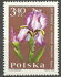 Poland: Bearded Iris (Iris barbata), 1964