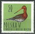 Poland: Black-tailed Godwit (Limosa limosa), 1964