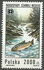 Poland: River Trout (Salmo trutta fario), Black Vistula Waterfall, 1992