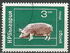 保加利亚: Domestic Pig (Sus scrofa domestica), 1974