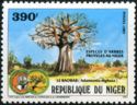 Protected species of trees in Niger - Adansonia digitata