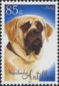 Mastiff (Canis lupus familiaris)
