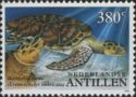 Hawksbill Turtle (Eretmochelys imbricata)