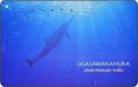 Dolphin - Ogasawara mura