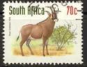 Roan Antelope (Hippotragus equinus)