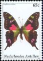 Purple Spotted Swallowtail (Graphium weiskei)
