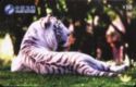 White Tiger 3