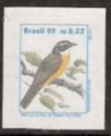 Social Flycatcher (Myiozetetes similis) 