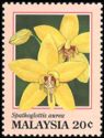 Spathoglottis aurea
