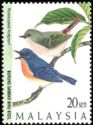 Pygmy Flycatcher (Muscicapella hodgsoni)