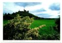 Rock Of Cashel, County Tipperary