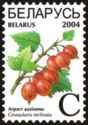 Gooseberries (Grossularia reclinata)