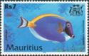 Powderblue Surgeonfish (Acanthurus leucosternon)
