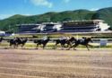Hipódromo "LA RINCONADA"