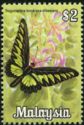 Rajah Brooke's Birdwing (Trogonoptera brookiana)