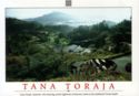Tana Toraja