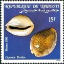 Thrush Cowry (Cypraea turdus)