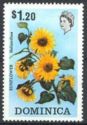 Sunflower (Helianthus sp.)