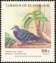 Maroon-chested Ground Dove (Claravis mondetoura)