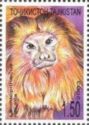 Golden Lion Tamarin (Leontopithecus rosalia)