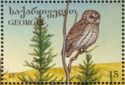 Ural Owl (Strix uralensis)