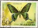 Alpine Black Swallowtail (Papilio maackii)