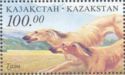 Kazakh Taza (Canis lupus familiaris)