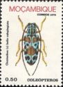 Longhorn Beetle (Chariesthes bella rufoplagiata)