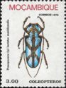 Turquoise Longhorn (Prosopocera lactator ssp. meridionalis)
