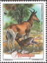Lichtenstein's Hartebeest (Alcelaphus lichtensteinii)